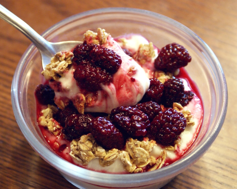 homemade greek-style yogurt with granola and blackberries